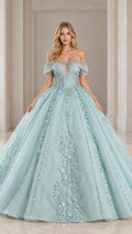 Front full-length view of mint green off-shoulder beaded tulle ball gown
